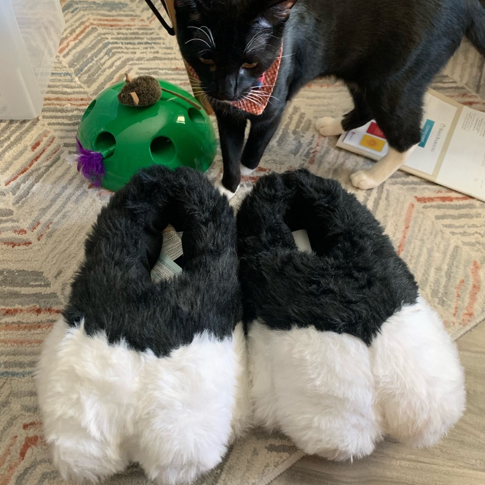 Twitchy cat slippers with sound